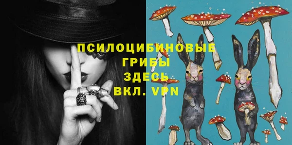 амф Алзамай