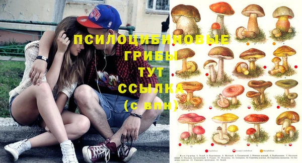 амф Алзамай