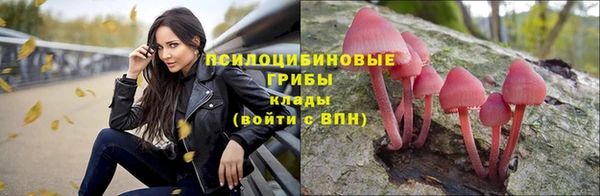 амф Алзамай